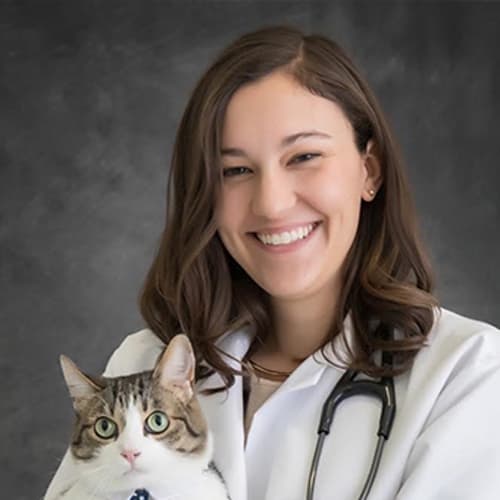 Dr. Macie Mattmiller, Rock Hill Veterinarian